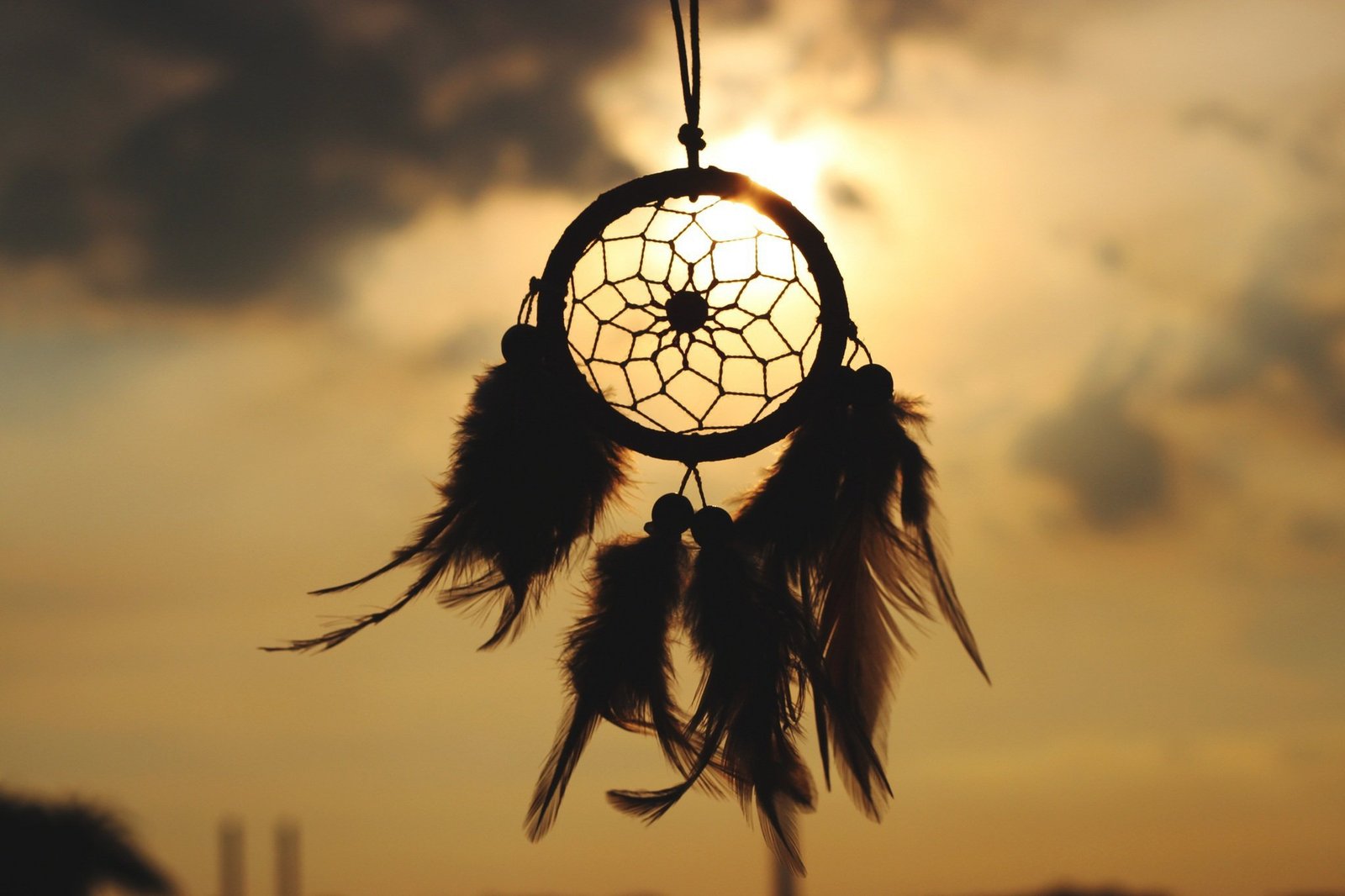 Why We Dream of Falling And What It Could Mean